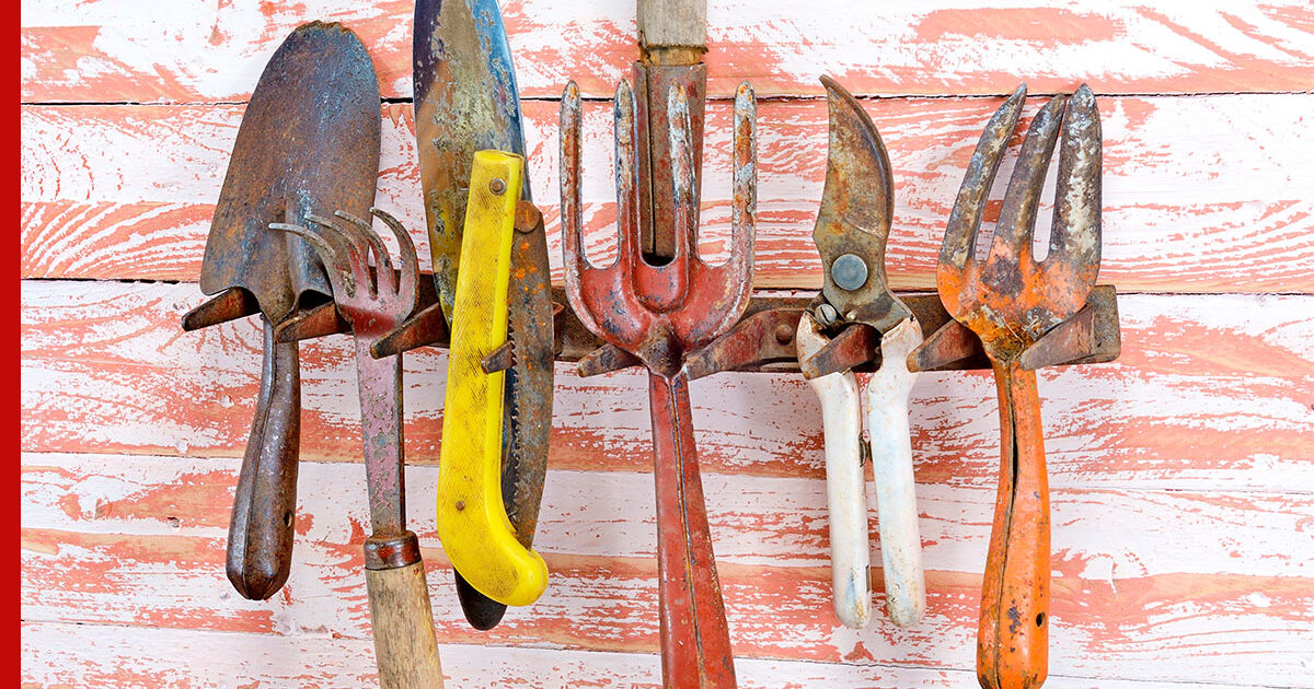 Как очистить от ржавчины садовые инструменты: 3 простых способа
