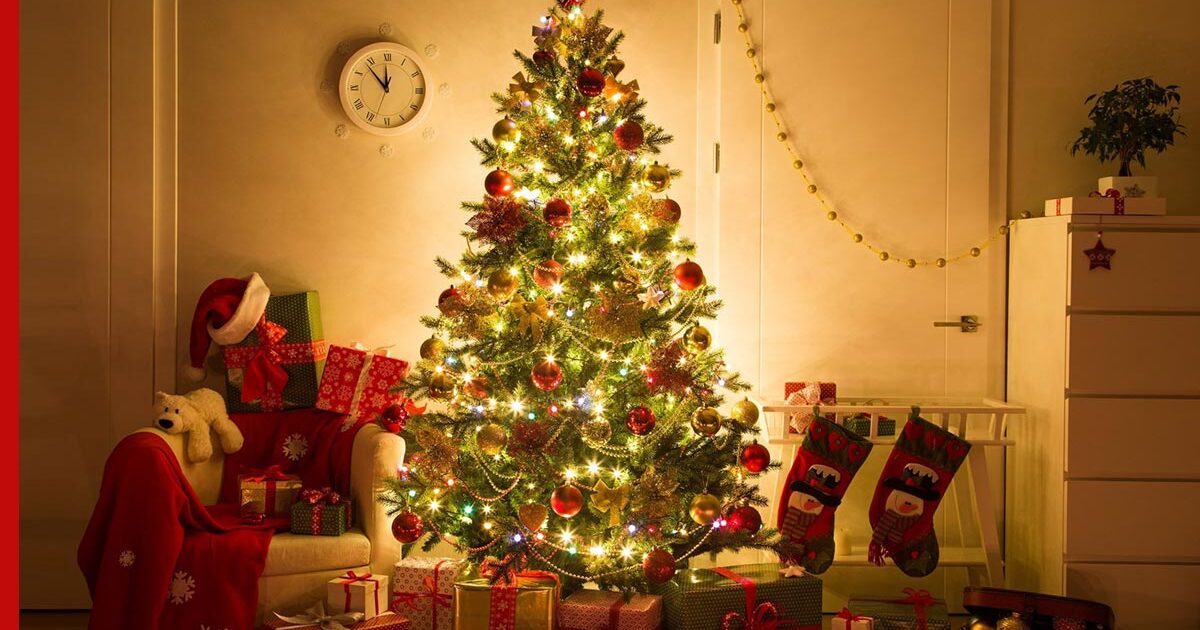 Как украсить елку на Новый год, чтобы она выглядела пышной: советы ...