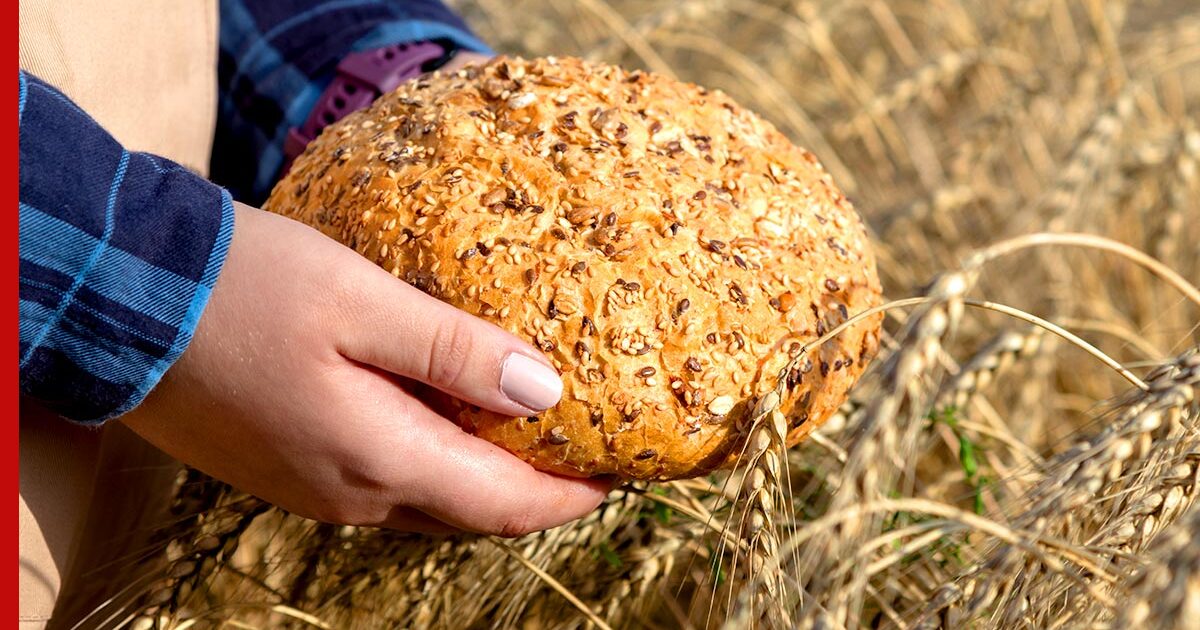 Поле пшеницы и хлеб. Пшеница и хлеб на одной стороне. Держит хлеб. Руки держат хлеб.