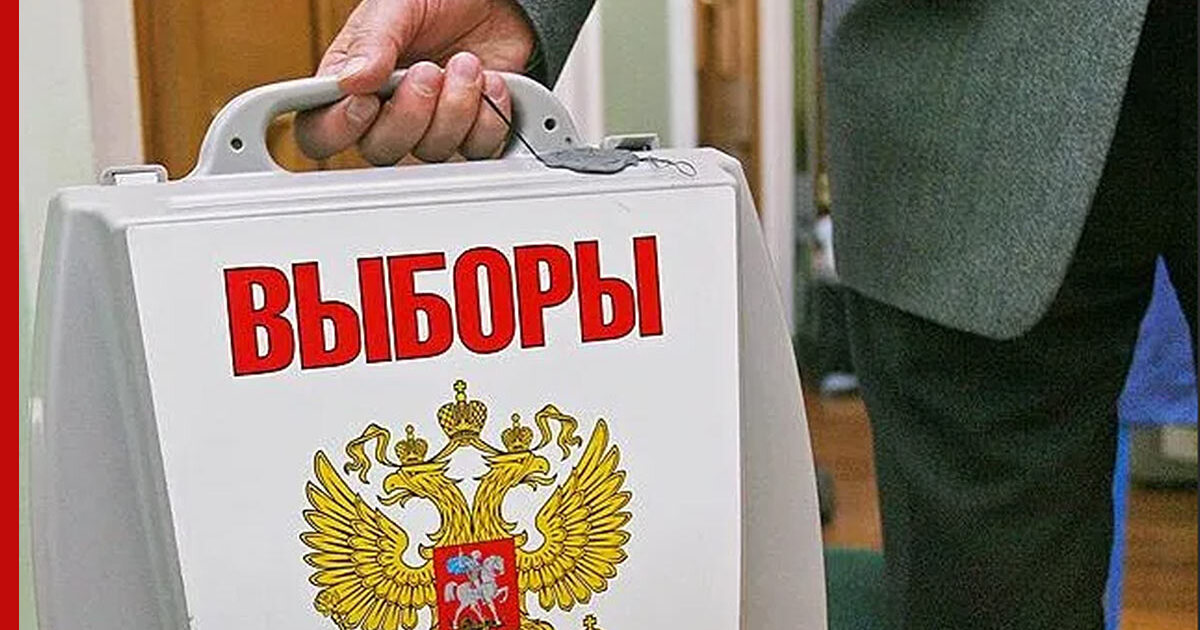 Выборы могут быть назначены на. Сумка для выборов президента