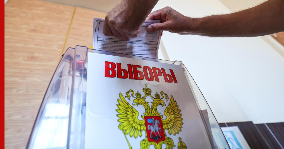 Выборы в думу работа. Выборы в думу работа