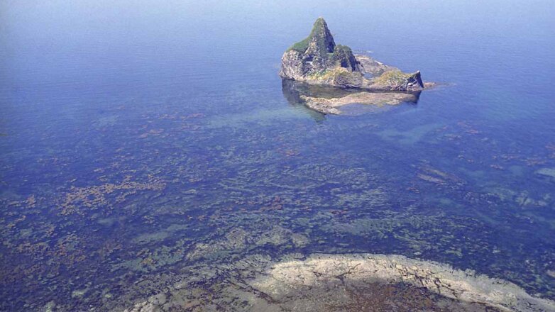 Возможно ли отказаться от Курил и «сохранить лицо»?