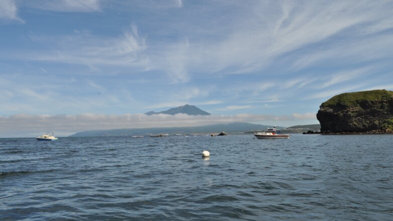 Первая группа японцев прибыла на Курилы в рамках безвизовых обменов