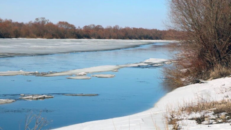 В Подмосковье началось половодье