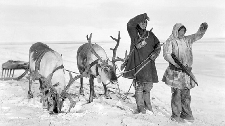 Долганы просят КС РФ разрешить охоту на дикого оленя: без традиционного промысла  народность на грани выживания