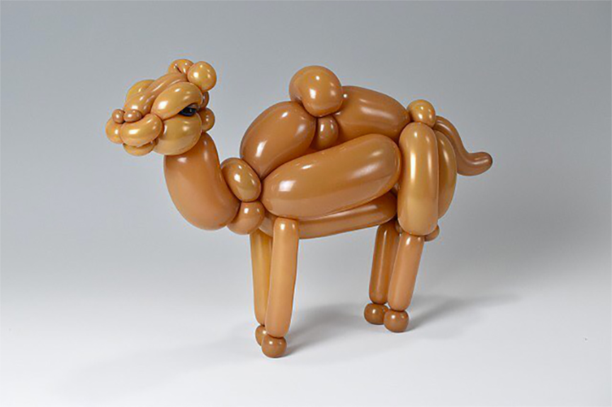 Одногорбый верблюд