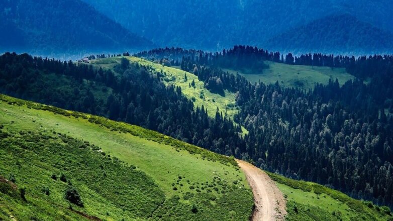 На Дальнем Востоке можно будет получить больше земли