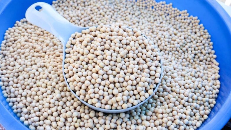 Крупы из Приморья могут отправиться в Африку