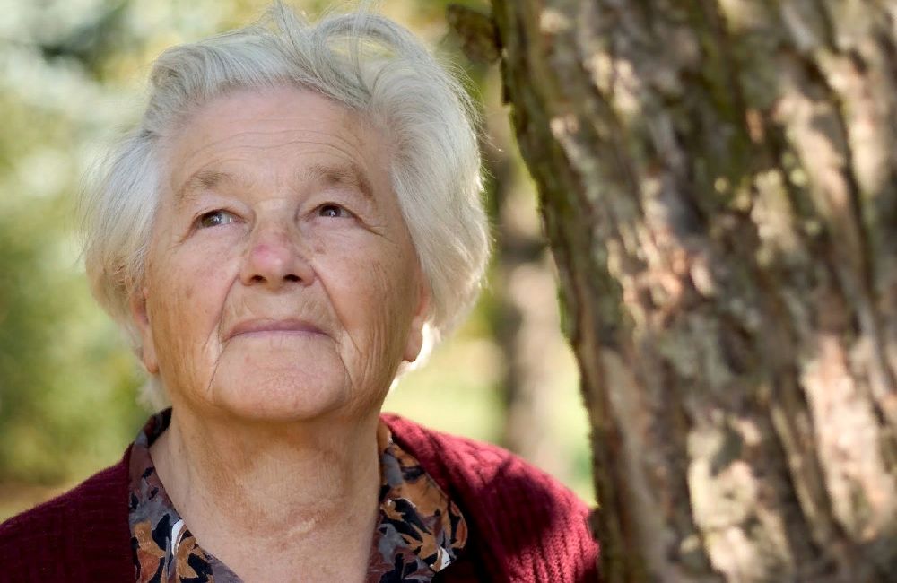 Одиноко проживающих «пенсионеров-северян» в возрасте от 80 лет предложили переселять