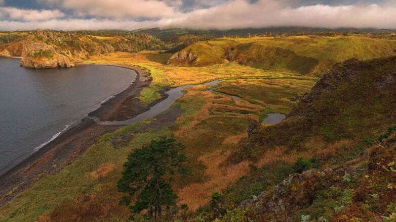 Россия отказалась обсуждать передачу Курильских остров