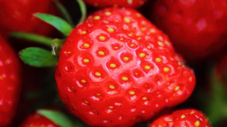 Эксперты рассказали, как выбрать самую вкусную клубнику