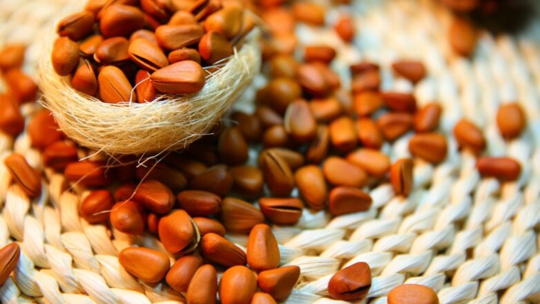 Ученые сообщили о пользе скорлупы кедрового ореха для организма