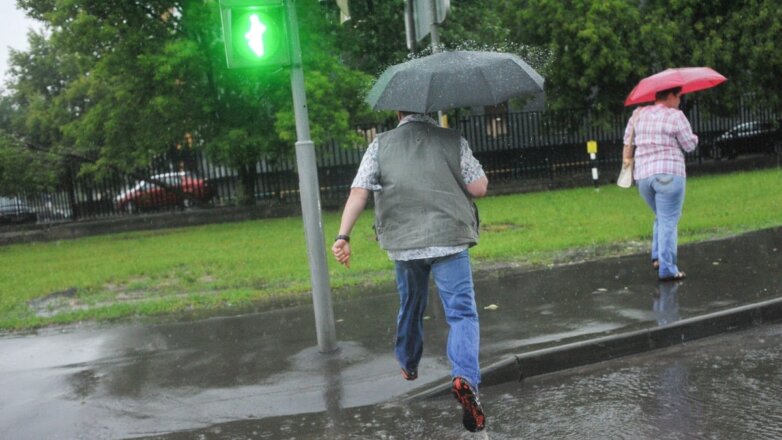 Синоптики пообещали москвичам 5 июня дождь с грозой и +21°С