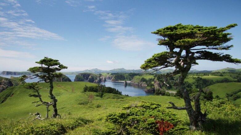 На сайте Олимпиады-2020 Южные Курилы обозначили территорией Японии