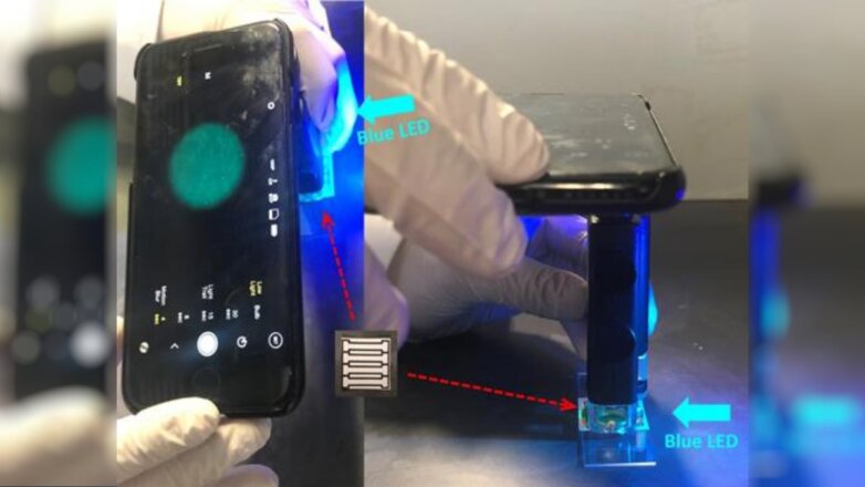 Мобильное приложение поможет остановить эпидемию норовируса