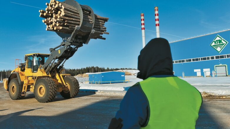 Чем дальше в лес, тем толще циркуляры: что мешает развитию бизнеса, связанного с лесными ресурсами