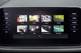 Skoda представила конкурента «Алисы»