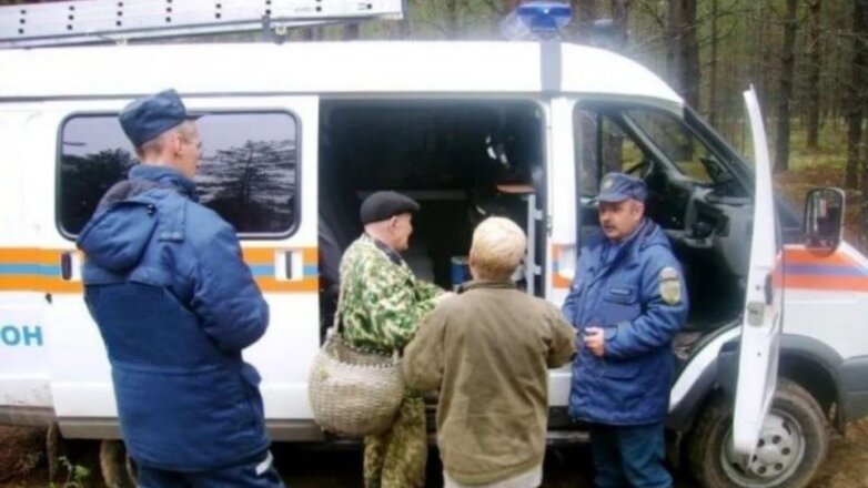 Из подмосковных лесов в этом году вывели более тысячи заблудившихся человек