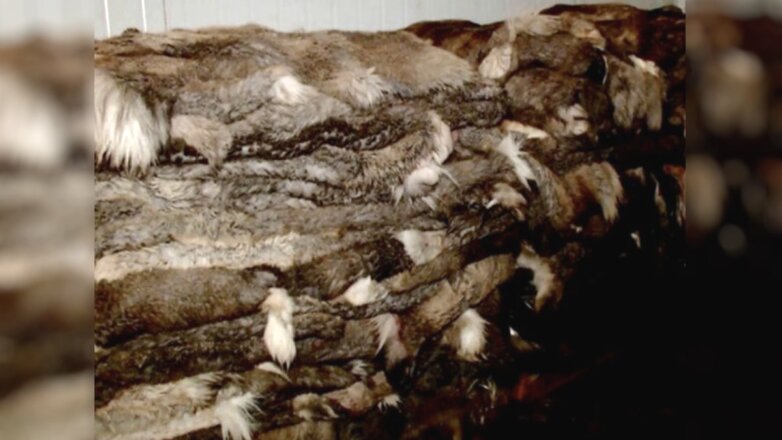 На Ямал переезжает предприятие из Сыктывкара