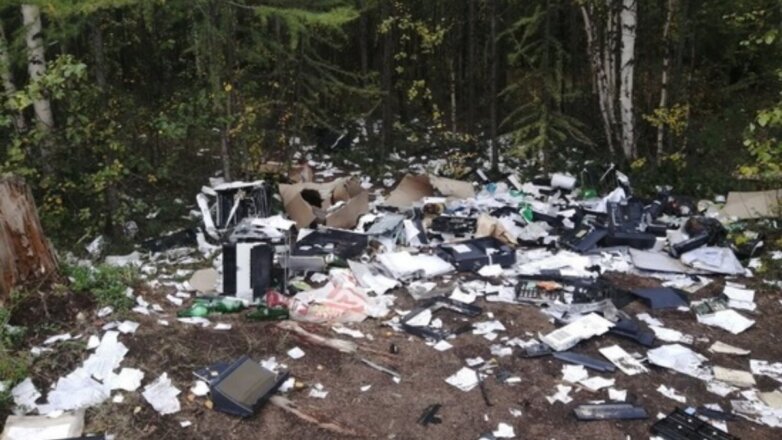 В Новом Уренгое нашли свалку из копий документов с персональными данными