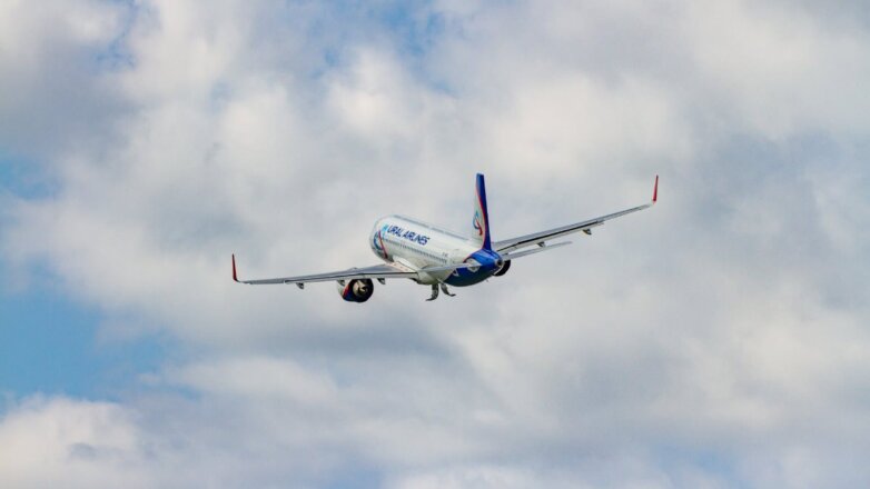 При вылете из Домодедово самолёт столкнулся с птицей