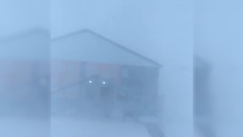 На Ямал обрушилась зимняя метель