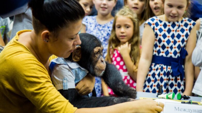 Участники детского шахматного турнира в Ялте познакомились с Оскаром