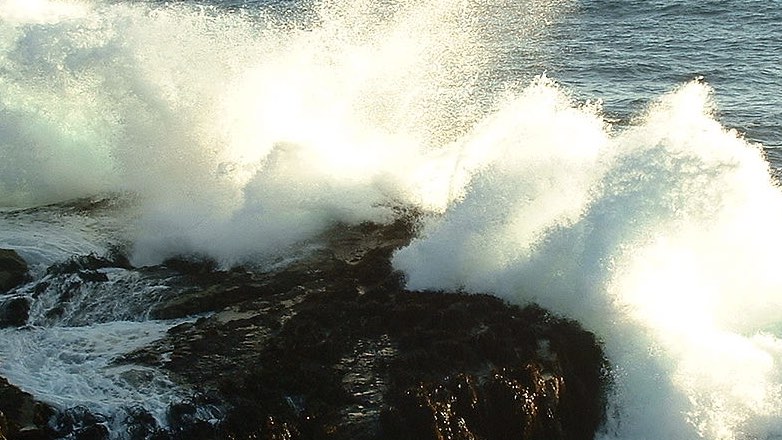 37 мигрантов пропали без вести после кораблекрушения в Средиземном море