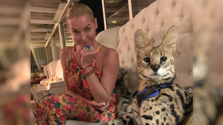 PR-менеджер Волочковой заверила, что кот балерины жив и здоров