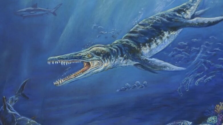 Российский палеонтолог нашёл в Альпах зуб ископаемого ящера