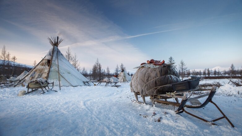 Россиянам предлагают выиграть бесплатную поездку на Ямал