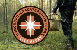 В Калужском лесу погиб доктор наук