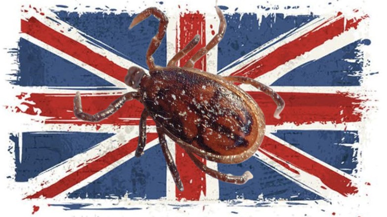 В Британии зафиксировали вспышку клещевого энцефалита
