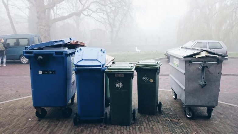 Подсчитана стоимость выброшенной в России еды