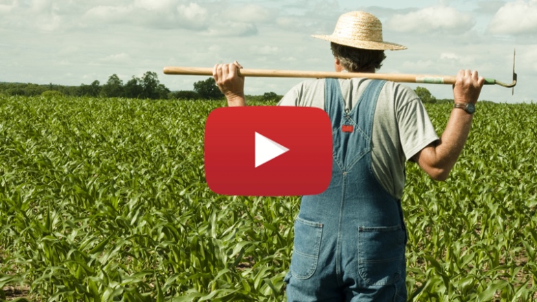 В Крыму налоговые инспекторы нашли «серого» фермера с помощью YouTube