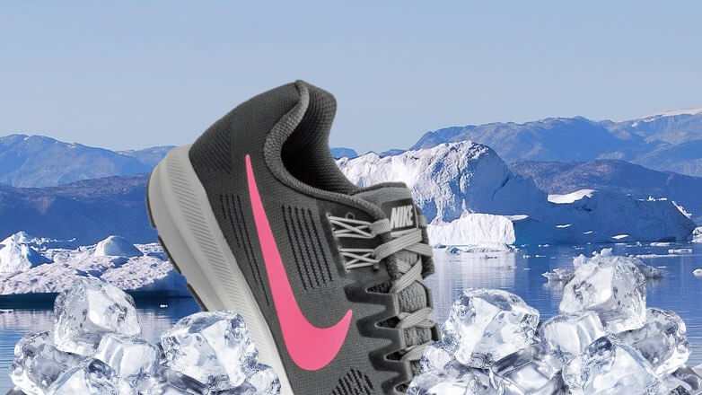 Nike решила бойкотировать Северный морской путь