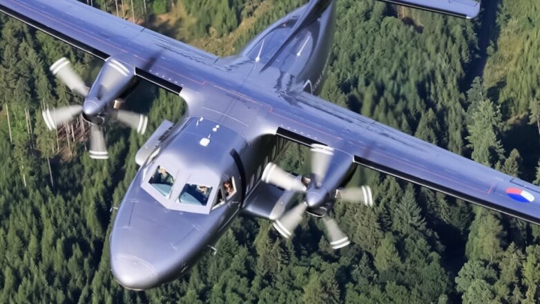 Нераскрывшиеся крылья Родины