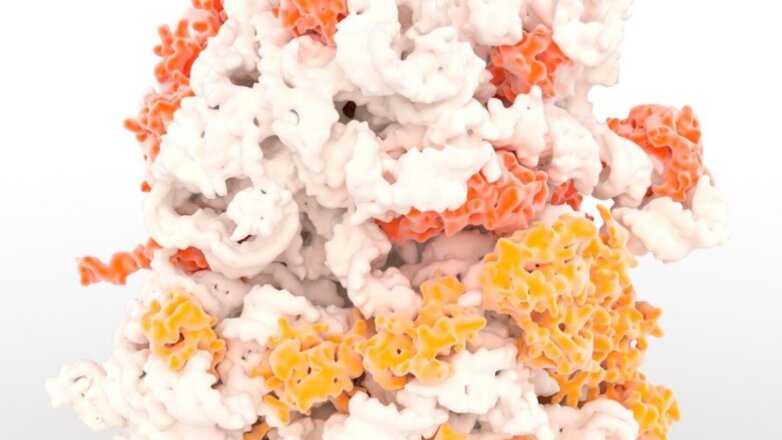 Ученые впервые увидели сборку "молекулярных машин"