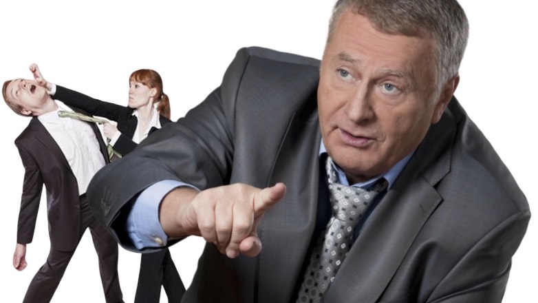 Жириновский предложил изменить правила самообороны в России