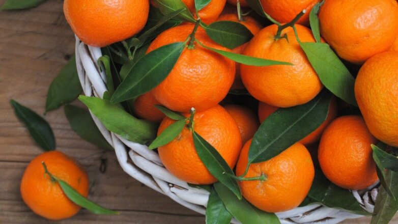 РИА Новости: Турция и Египет стали главными экспортерами мандаринов в Россию