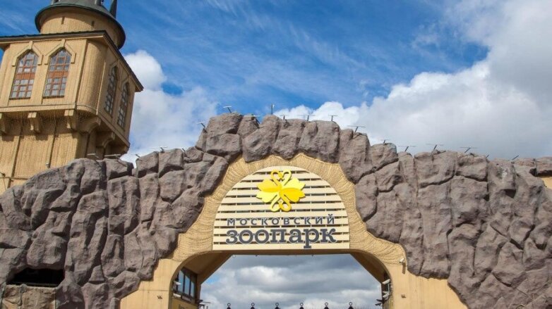 В Москве возобновят работу музеи и зоопарки