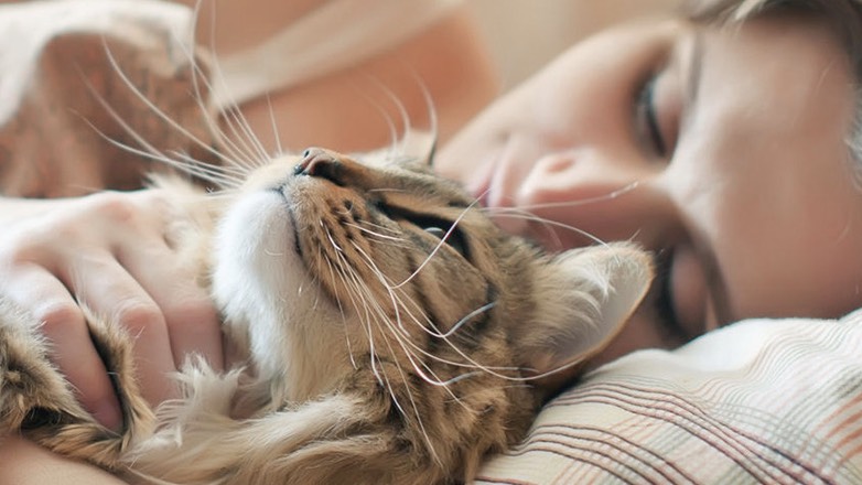 Десять типов поз во сне расскажут о характере питомцев и хозяев
