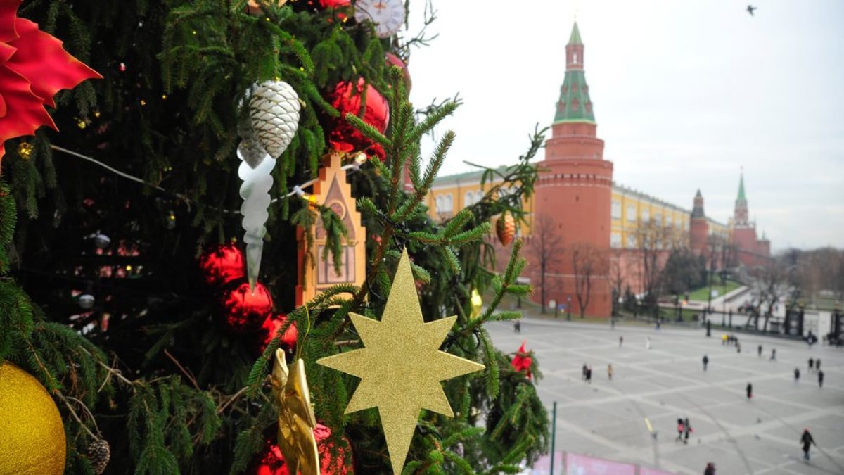 Московских чиновников призвали не рубить новогодние ели