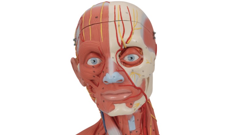 Онкологи перечислили симптомы смертельных заболеваний