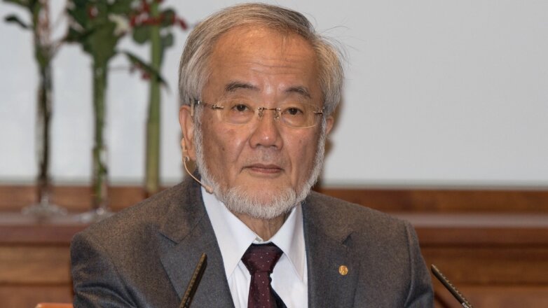 Нобелевский лауреат по медицине стал объектом манипуляций