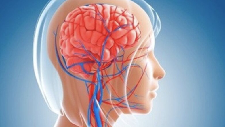 Немецкие ученые раскрыли реальные причины проблем с памятью
