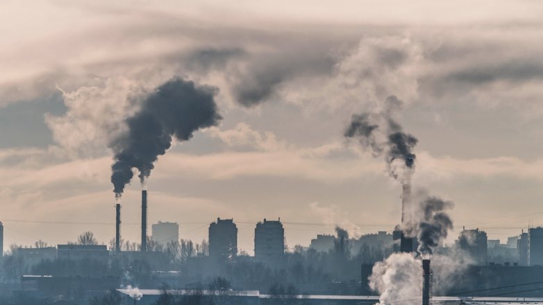 Эксперт ВОЗ оценила качество воздуха в Москве