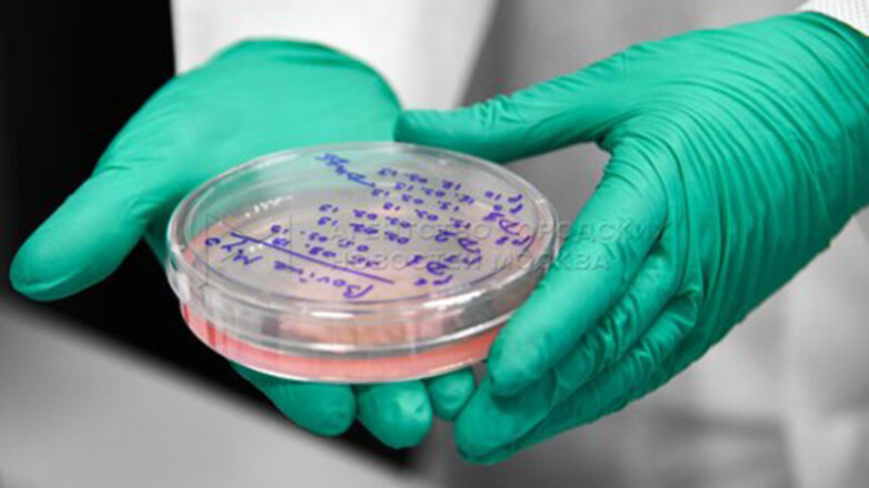 Японские ученые нашли «ахиллесову пяту» рака