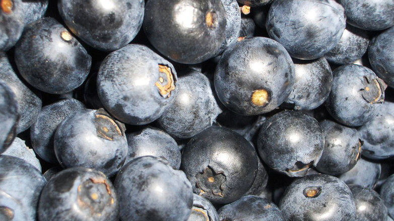 Названа распространенная ягода, ускоряющая заживление ран