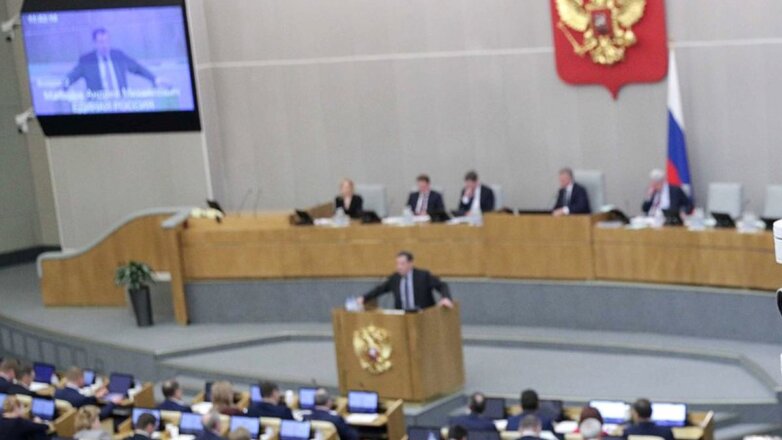 Госдума в первом чтении приняла поправки в бюджет